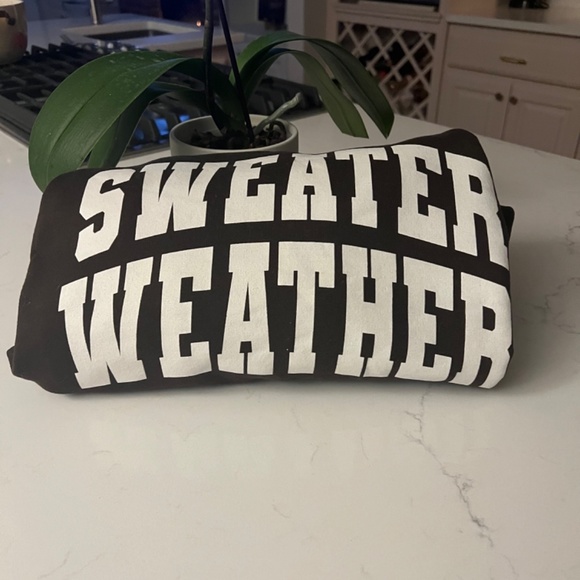 “SWEATER WEATHER” - BRAND NEW! Never Worn - Fun sweatshirt - Picture 2 of 6